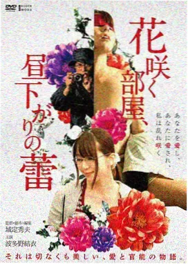 沙丘邮差修复档案